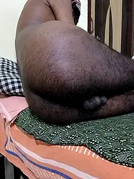 Chocolate_stud10 webcam
