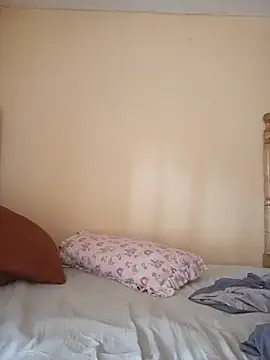 CRIBANN webcam