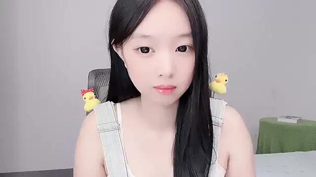 Yoyo33355 webcam