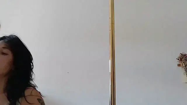 PriscillaPole webcam