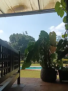 Comingtop webcam