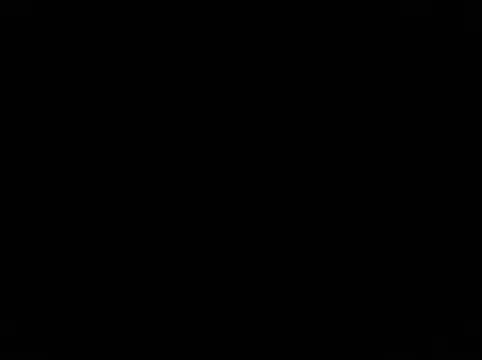Blkstylion webcam