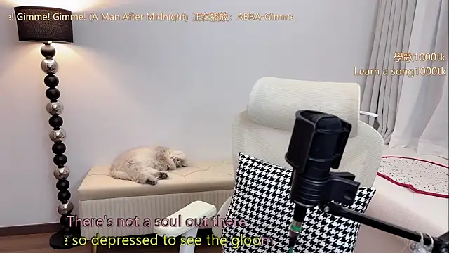 babykitty- webcam