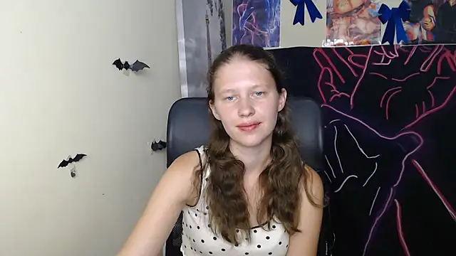 StellaCRL webcam