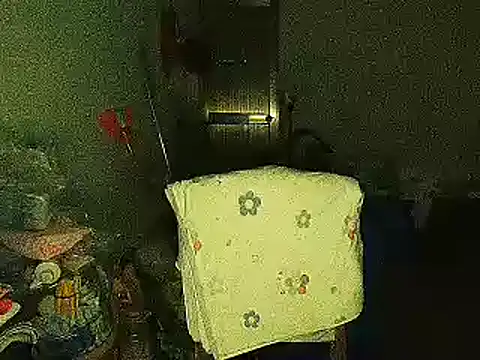 RebelAura webcam
