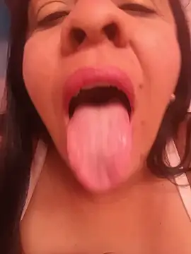 lapatronav2026 webcam