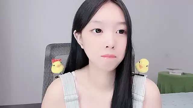 Yoyo33355 webcam