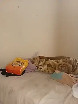 HoneyBunnyLusi webcam