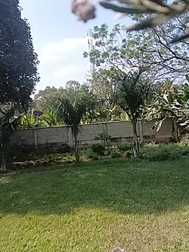 Comingtop webcam