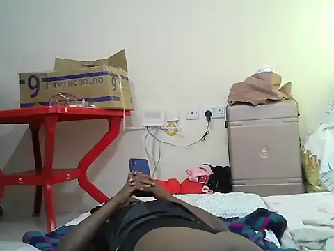 Paseski webcam