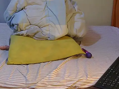 Pretikesi webcam