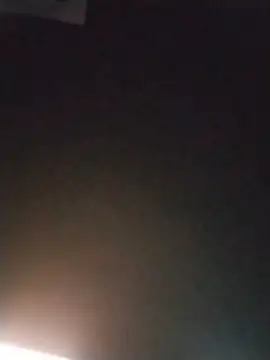 ReallyReallyReal webcam