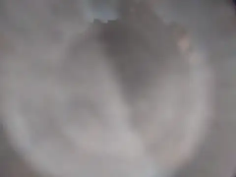 XanderOzzz webcam