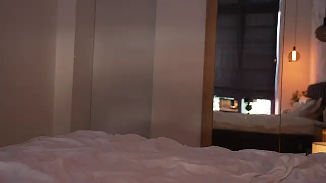 ibiddi webcam