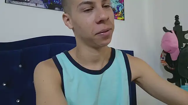 grey___27 webcam