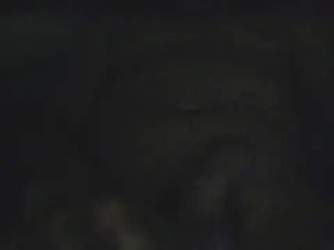 Gordo1206 webcam