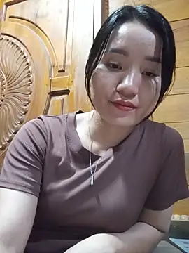 Td3di webcam