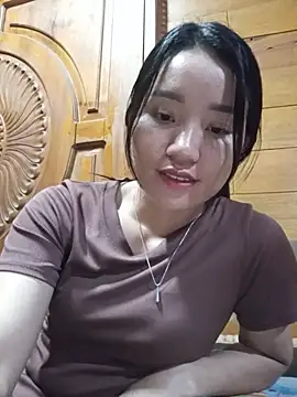 Td3di webcam
