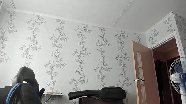 SanFrantsisko webcam