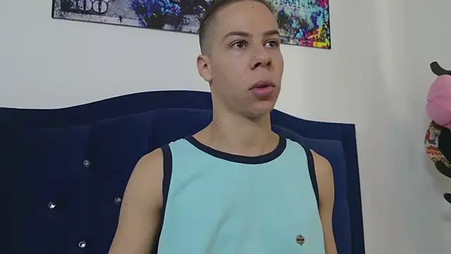 grey___27 webcam