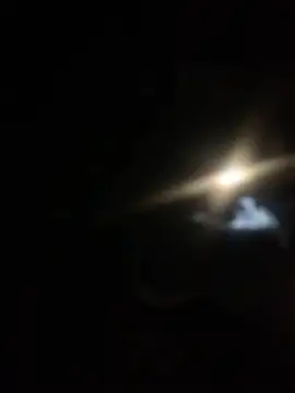 Ldnick69 webcam