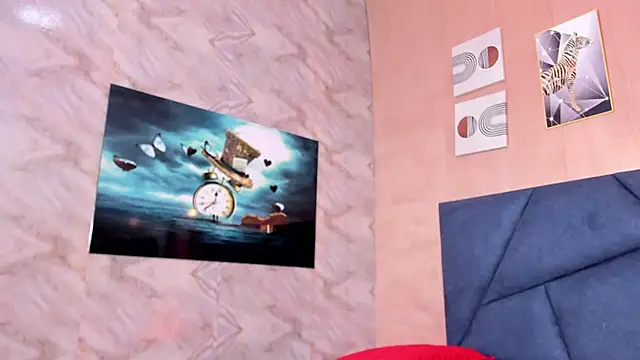 LaurentFerrer webcam
