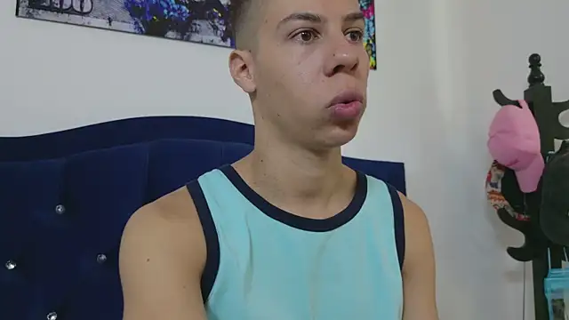 grey___27 webcam
