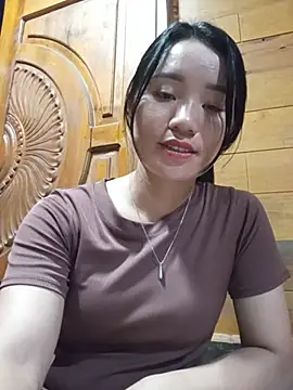 Td3di webcam