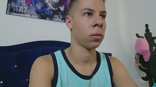 grey___27 webcam