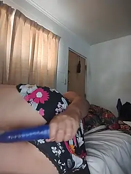 THEBEDroomdoOR webcam