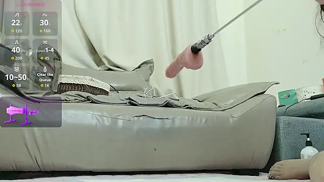 fox-yiyi
