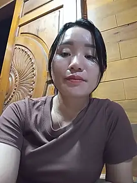 Td3di webcam