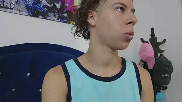 grey___27 webcam