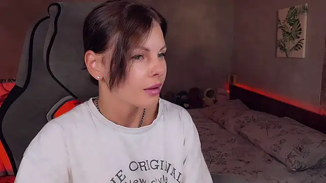 Alaska_ya webcam