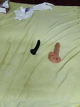 Saso-4 webcam