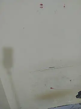 sexy_shital webcam