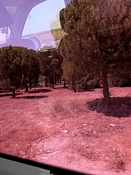 dario1986dawn webcam