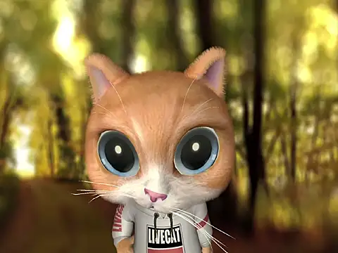 XiaTian_ webcam
