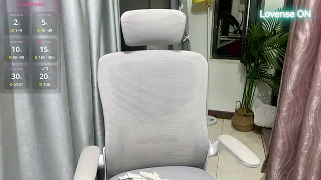 xiaosu22
