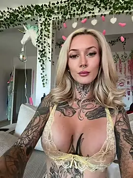 Stella-Kink webcam