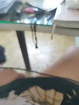 TaraWild webcam