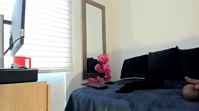 ariadna_grad webcam