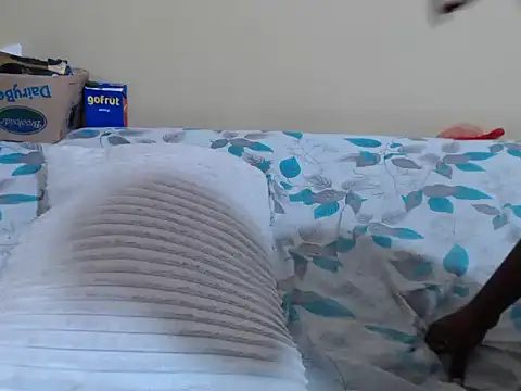 lynnsee webcam