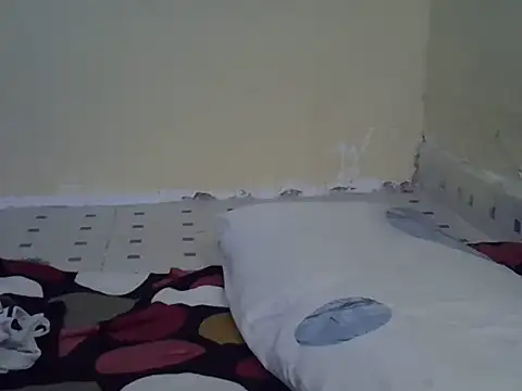 Tikobs webcam