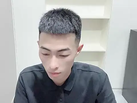 zn999 webcam