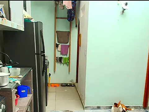 Karol_naughty webcam