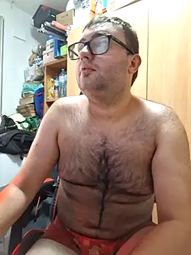 Javier_bear webcam