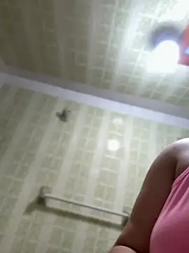 hinata_dolly webcam