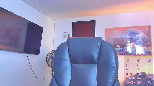 RJBarto webcam