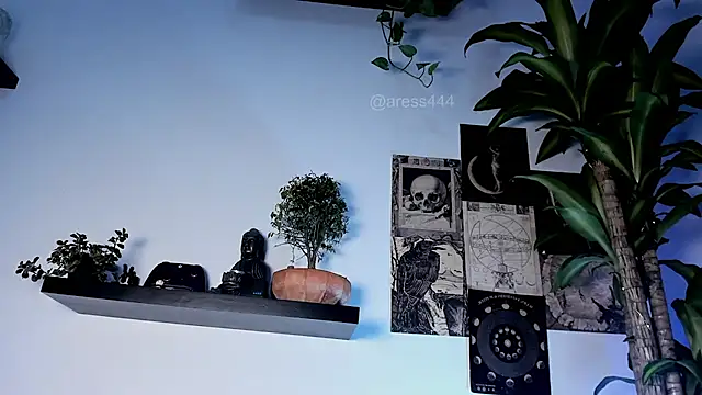 aress_damon webcam